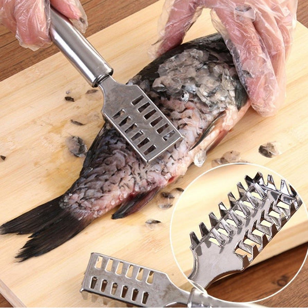 Stainless Steel Fish Scale Remover Scraper – Sawtooth Kitchen Tool